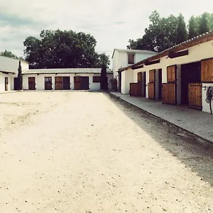 Appartement Maison Au Milieu Des Chevaux, LʼIsle-sur-la-Sorgue